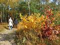 Wandeling van Monke en Judith op 21-10-2012 (43)